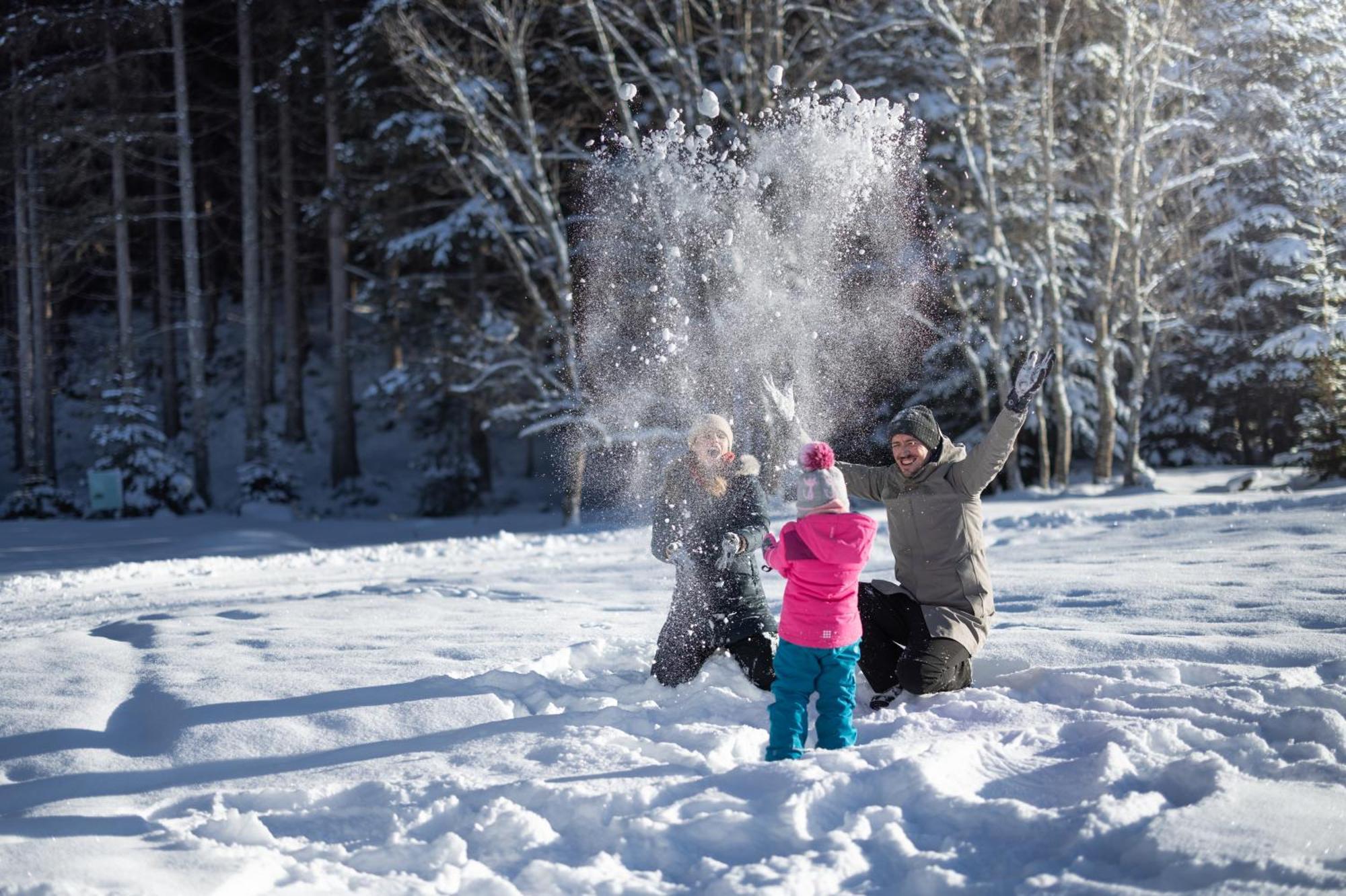 Feriengut Ottacherhof - Active Family Holiday In Central Hollersbach Hollersbach im Pinzgau Esterno foto